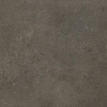 2134 Leone Brown 2134 Leone Brown